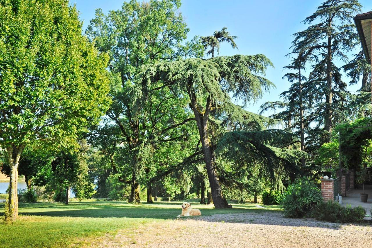 Clos Saint-Blaise Albi Eksteriør bilde